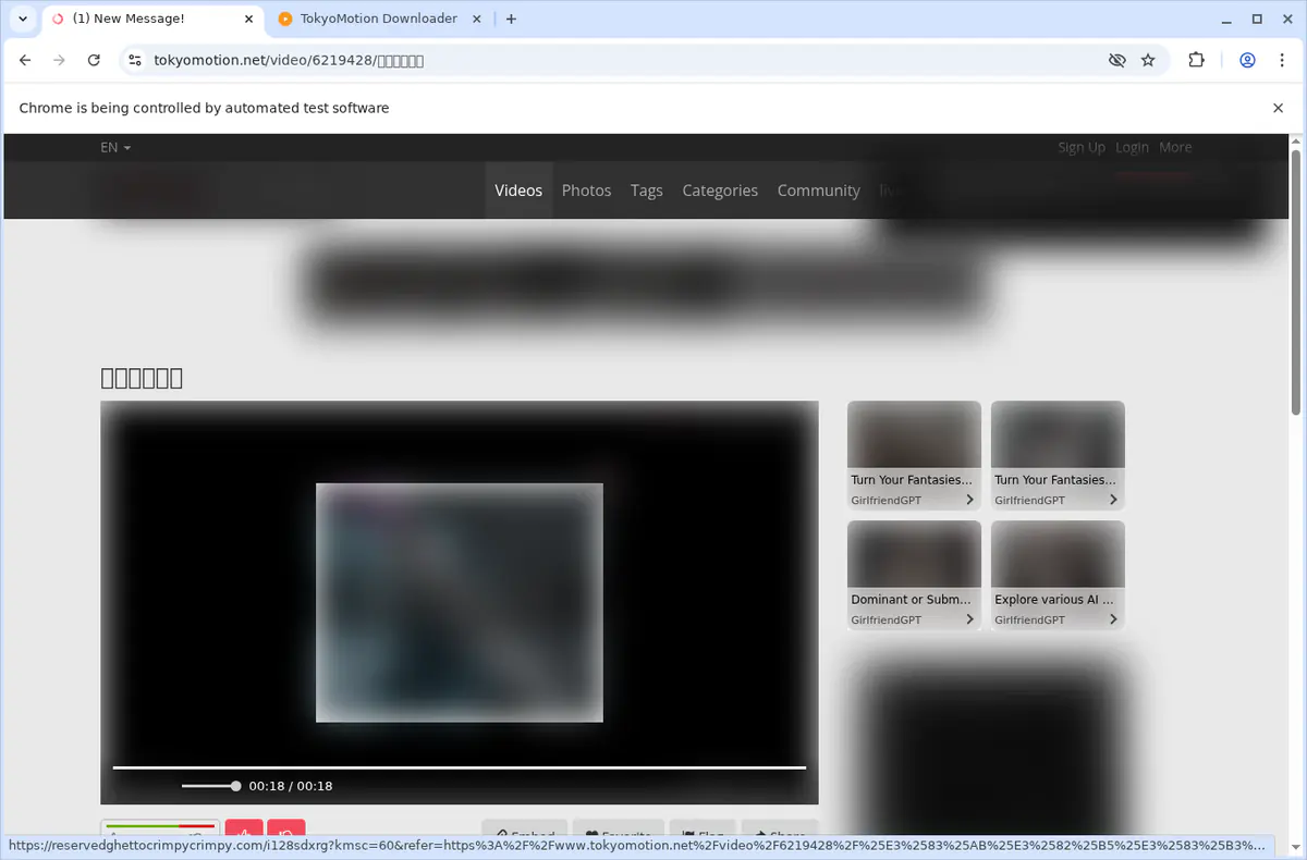Tokyomotion Video Downloader screenshot 3