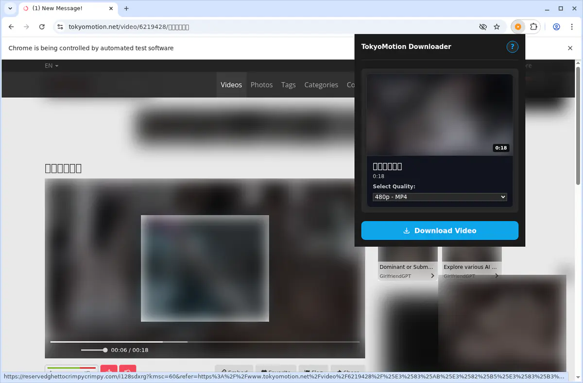 Tokyomotion Video Downloader screenshot 4
